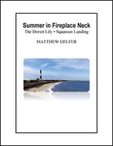 Summer in Fireplace Neck Orchestra sheet music cover